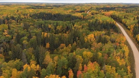 A drone view moving slowly over a lake and a beautifully colored autumn forest. Stock Footage 119387516