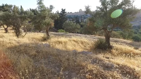 Drone view from the Mt. Olives. Jerusalem. DJI-0009-01 Vídeos de archivo 98570329