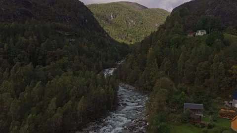 Drone view of narrow river winding through forest in Norway Stock Footage 320245162