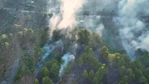 Drone view of natural disaster forest fire burning green forest. Stock Footage 337614874
