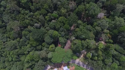Drone view natural rainforest area in Sumatera Indonesia Stock Footage 119313198