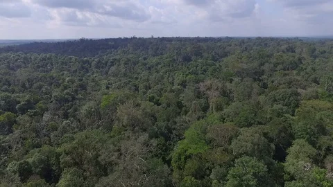 Drone view natural rainforest area in Sumatera Indonesia Stock Footage 119314383