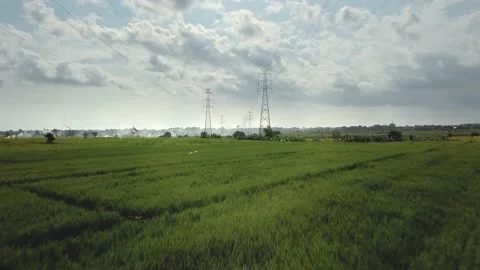 Drone view of a newly constructed electric transmission tower on a green rice Stock Footage 142266748