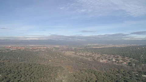 Drone view of an oak forest during autumn in Madrid, Spain (1) Stock Footage 111953121