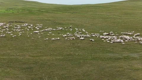 Drone View of Open Grassland Landscape in New Barag Right Inner Mongolia China Stock Footage 341647417