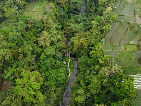 The drone view of orak-arik waterfall in banyumas regency Foto stock