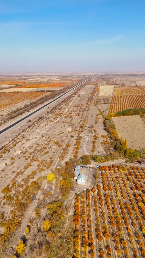 Drone View of Orchard Rows and Farm Buildings Beside a Road Vídeos de archivo 347017437
