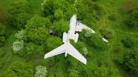 Drone view over an abandoned Tu-134 aircraft near the city of Rzgrad Stock Footage 256037245
