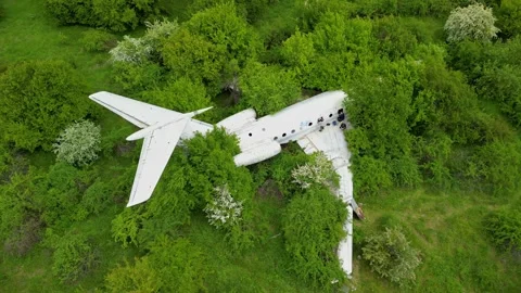 Drone view over an abandoned Tu-134 aircraft near the city of Rzgrad Stock-Footage 256037252