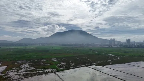 Drone view over Bukit Mertajam paddy fields with misty hill skyline Stock Footage 329355271