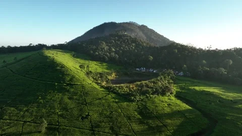 Drone View Over Ciwidey Tea Plantation Hills 스톡 동영상 314095532