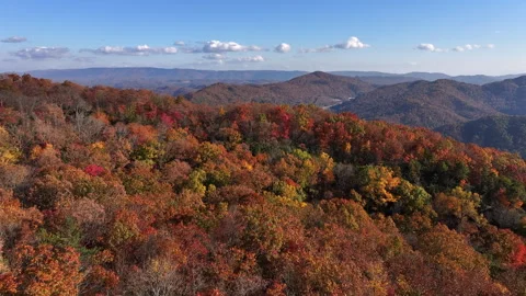Drone view over fall foliage covered mountains Stock Footage 293843945