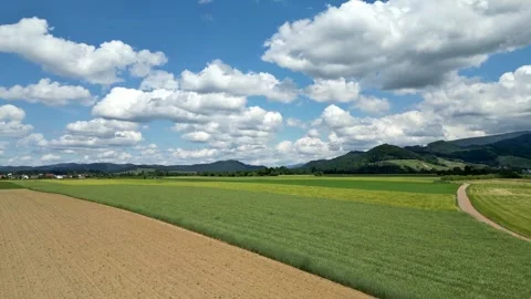 Drone view over fields in south germany in summer - Schwarzwald Stock Footage 277352562