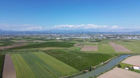 Drone view over the fields in Turkey Stock Footage 248759756