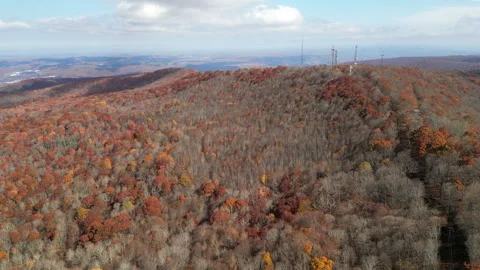 Drone view over final fall foliage of season Stock Footage 293845077