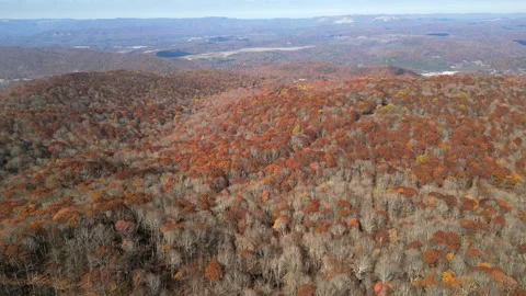 Drone view over final fall foliage of season 스톡 동영상 293845080