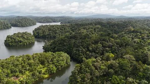 Drone view over flooded rainforest at Petit Saut Stock Photos