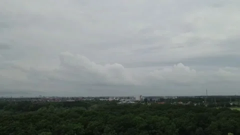 Drone view over a forest Stock Footage 196123862