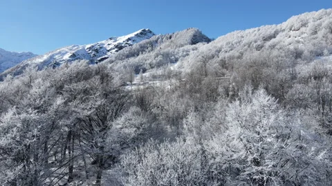 Drone view over the forest in natural mountain landscape in winter. wild 4k Stock Footage 149368287