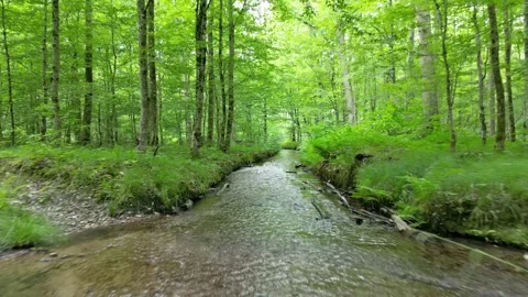 Drone view over forest stream south germany in summer - Bach im Wald Video stock 277350911
