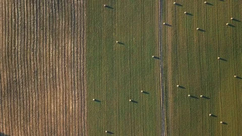 Drone view over a green field with harvested hay in bales Video stock 105275021