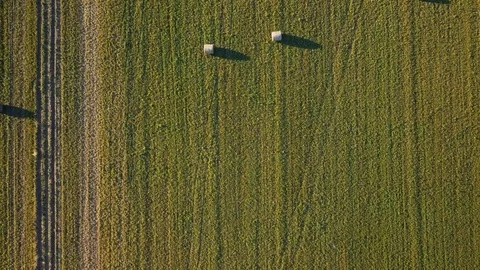 Drone view over a green field with harvested hay in bales Stock Footage 105275035