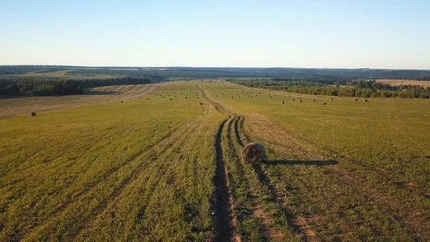 Drone view over a green field with harvested hay in bales Stock Footage 105275071