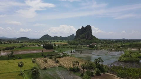 Drone view over green lush rice fields in Asia. Video stock 204121189