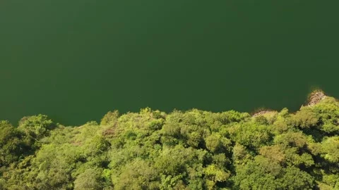 Drone view over lake with shore of threes, scenic nature landscape. Stock Footage 135607751