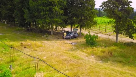 Drone view over large wine farm in Georgia Stock Footage 205370291