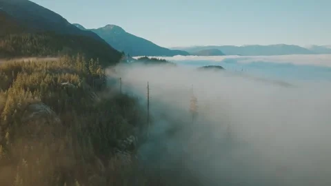 Drone View Over Misty Forested Valley and Mountain Ridges Stock Footage 315090826
