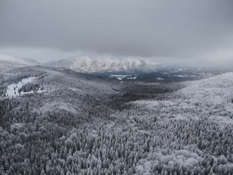 Drone view over mountain forest Stock Photos