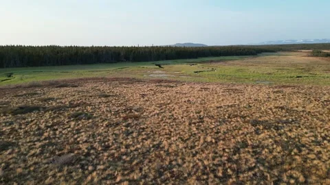 Drone View Over Newfoundland's Rugged Landscape Stock Footage 253421878