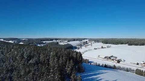 . Drone view over snowy pine forest in winter Stock Footage 325209237