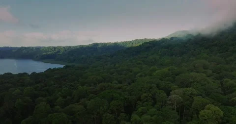 Drone view over tropical forest. Nature background of Bali. Stock Footage 249056516