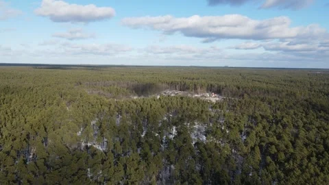 Drone view over vast green pine forest under blue sky in winter 스톡 동영상 314136453