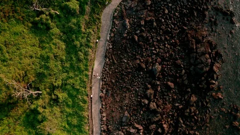 Drone view overlooking forest and beach stone paths. Jeju Island in Korea. Stock Footage 116429946