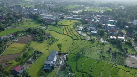 Drone View of Paddy Fields Beside Village Stock Footage 309366865