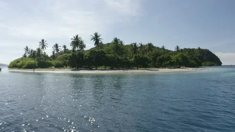 Drone View of Palm-Lined Island Shore and Calm Open Waters Stock Footage 237975361