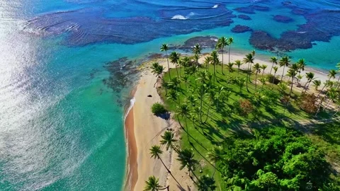 Drone view of a paradise palm beach. The sun reflects on the sea surface. Video stock 335632198
