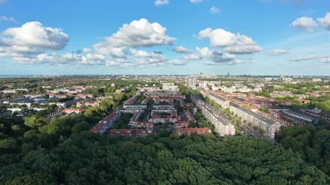 Drone view of park forest and The Hague city Stock Footage 344530981