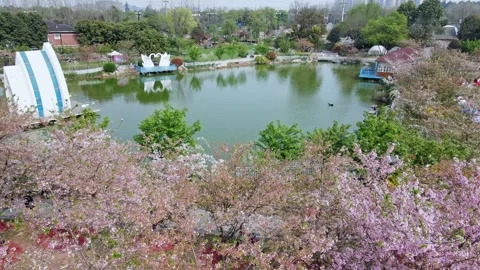 Drone view of a park in spring in Chengdu, China Video stock 262123223