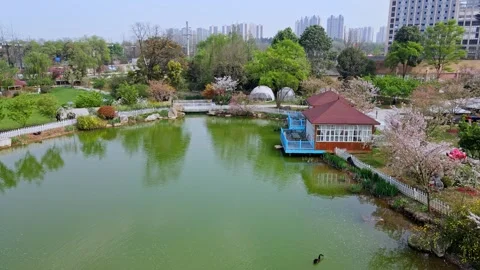 Drone view of a park in spring in Chengdu, China Stock Footage 262123299