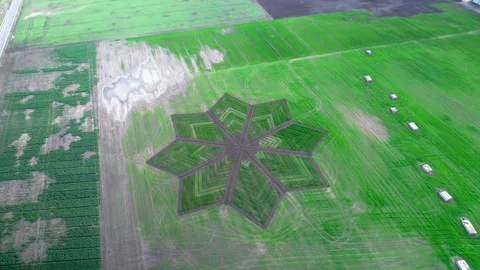 Drone view of a pattern in a field Video stock 272993785