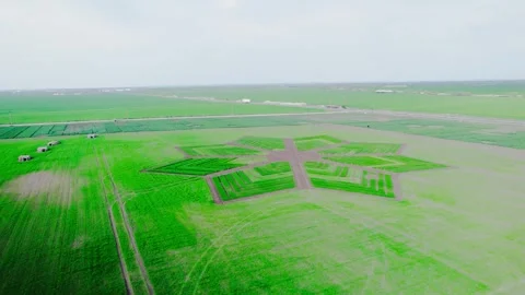 Drone view of a pattern in a field Video stock 272993898