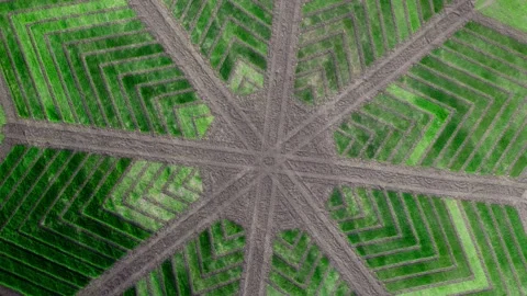 Drone view of a pattern in a field Video stock 272993952
