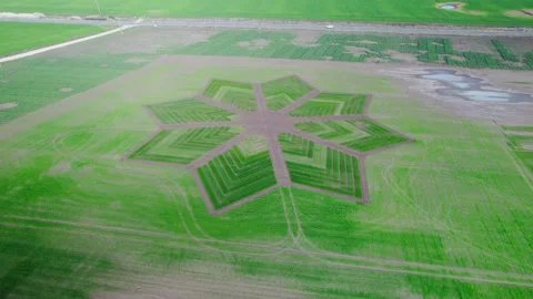 Drone view of a pattern in a field Video stock 272994102
