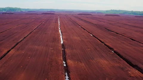 Drone view of peat bog and peatlands.Drainage and destruction of bogs. Video stock 299801823