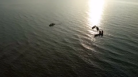 Drone view of people kayaking during summer holidays at sunset Stock Footage 200102867