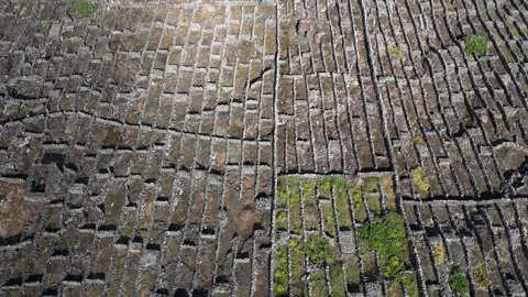 Drone View of Pico Island Vineyard Culture in Criação Velha, Azores, Portugal 動画素材 341960609